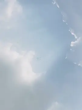 Alhamdulillah#tendinsong #vairalsong #kobutor_video#kobutor_ura_video#tending_kobutorer_video #vairal_kobutor_video #foryou #foryoupage #fyp #vairal #🕊️ABIR🕊️ #K_L_A🕊️ #kobutorbazz🤘 #kobutor_pagol #kobutorer_balobasa❤ #bdtiktokofficial🇧🇩 #@TikTok Bangladesh #কবুতর_পাগলারা_কই_সাপোর্ট_করো🥰🥰 