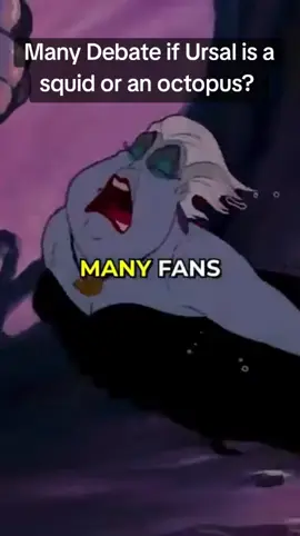 Many fans debate if Ursula is a squid or an octopus based on her 6 tentacles#creatorsearchinsights #fyp #mermaid #ariel #disneychannel #comics #animation #cartoon #disneyplus #disneyprincess #fyppppppppppppppppppppppp #creatorsearchinsights 
