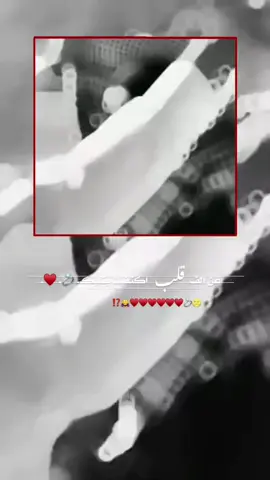 #لساني_كبال_حلو_الطول_لكلك #السعودية🇸🇦 #capcut 