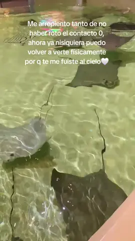 #parati #Viral #fyp #exnovio #teextraño@TikTok en español 