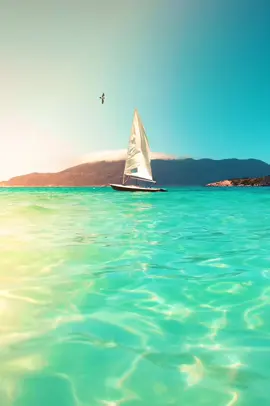 #CapCut #busterz #MTDYB #goodmorning #positive #fyp #fypage #fypツ #fypviralシ #inspiration #inspirationalvideo #motivational #motivationalvideo #quotes #dailyaffirmations #mindset #viraltiktok #virlvideotiktok 