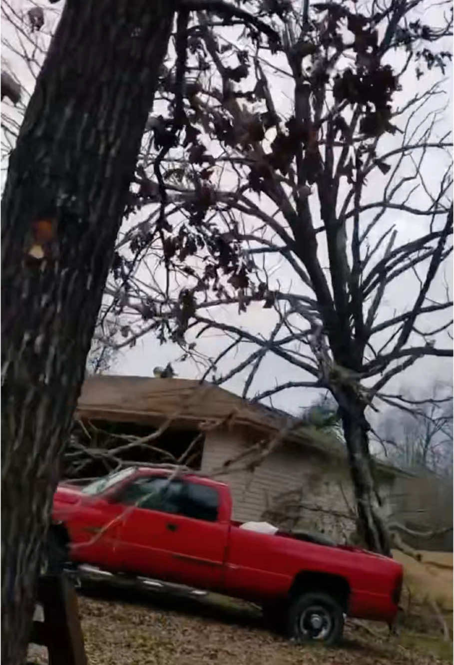 The moment of a big tree collapsing due to accident #satisfying #giant #tree #lightning #lightning #oddlysatisfying 