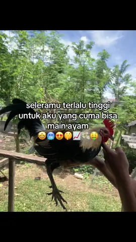 bersyandaaa #fromavatarlinegf #fyppppppppppppppppppppppp #xybca #popeyegrey #okembaik😍😘 