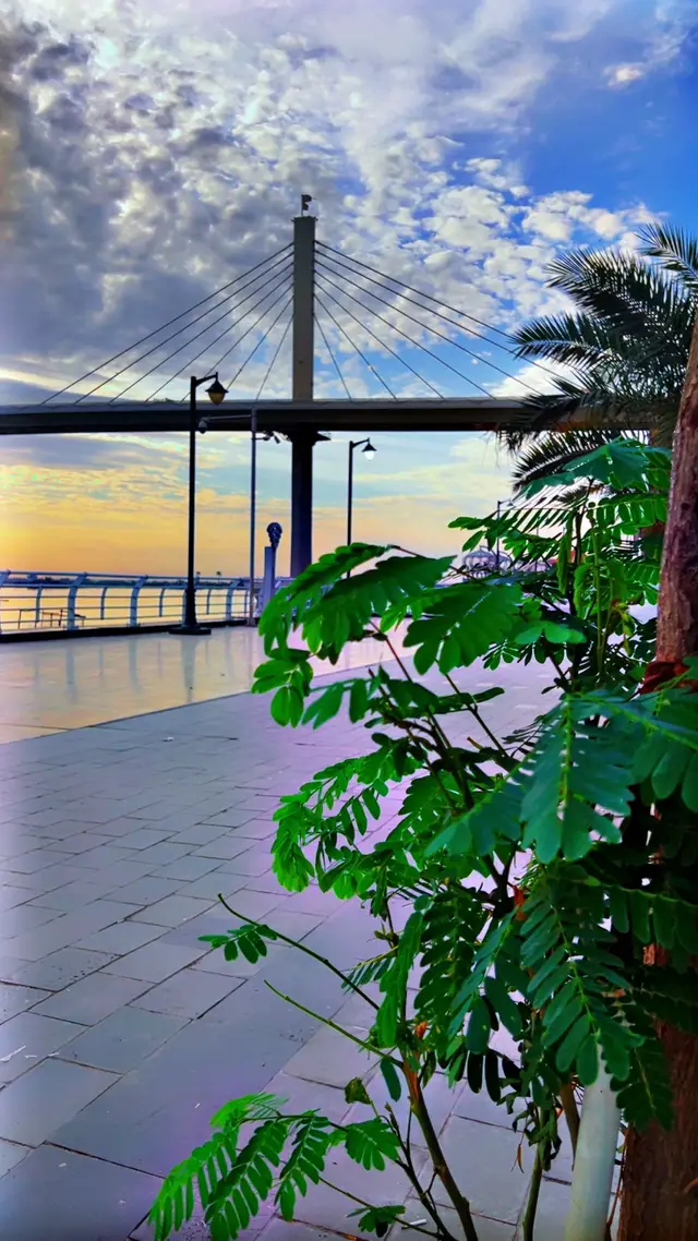 #البصرة #كورنيش_شط_العرب #البصره_العراق #fyp #narUto #gg #جسر_الايطالي #كورنيش_شط_العرب_البصرة❤️😍 #تصويري_احترافي_الاجواء👌🏻🕊😴 