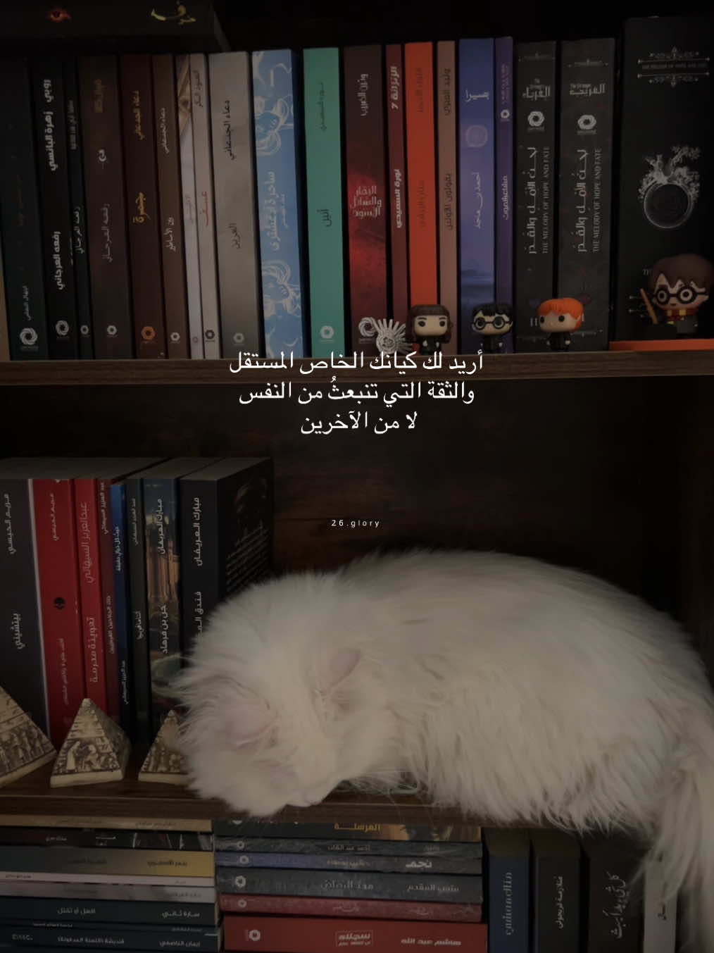 #فاتن_حمامة #الباب_المفتوح #سينما #جبران_خليل_جبران #الاجنحة_المنكسرة #الدار_المصرية_اللبنانية #عبارات #كلاسيكيات #رسائل #BookTok #catsoftiktok #كتب_انصح_بها #مكتبة #glory @الدار المصرية اللبنانية 