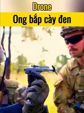 Drone ong bắp cày đen #tiktokgiaitri #xh 