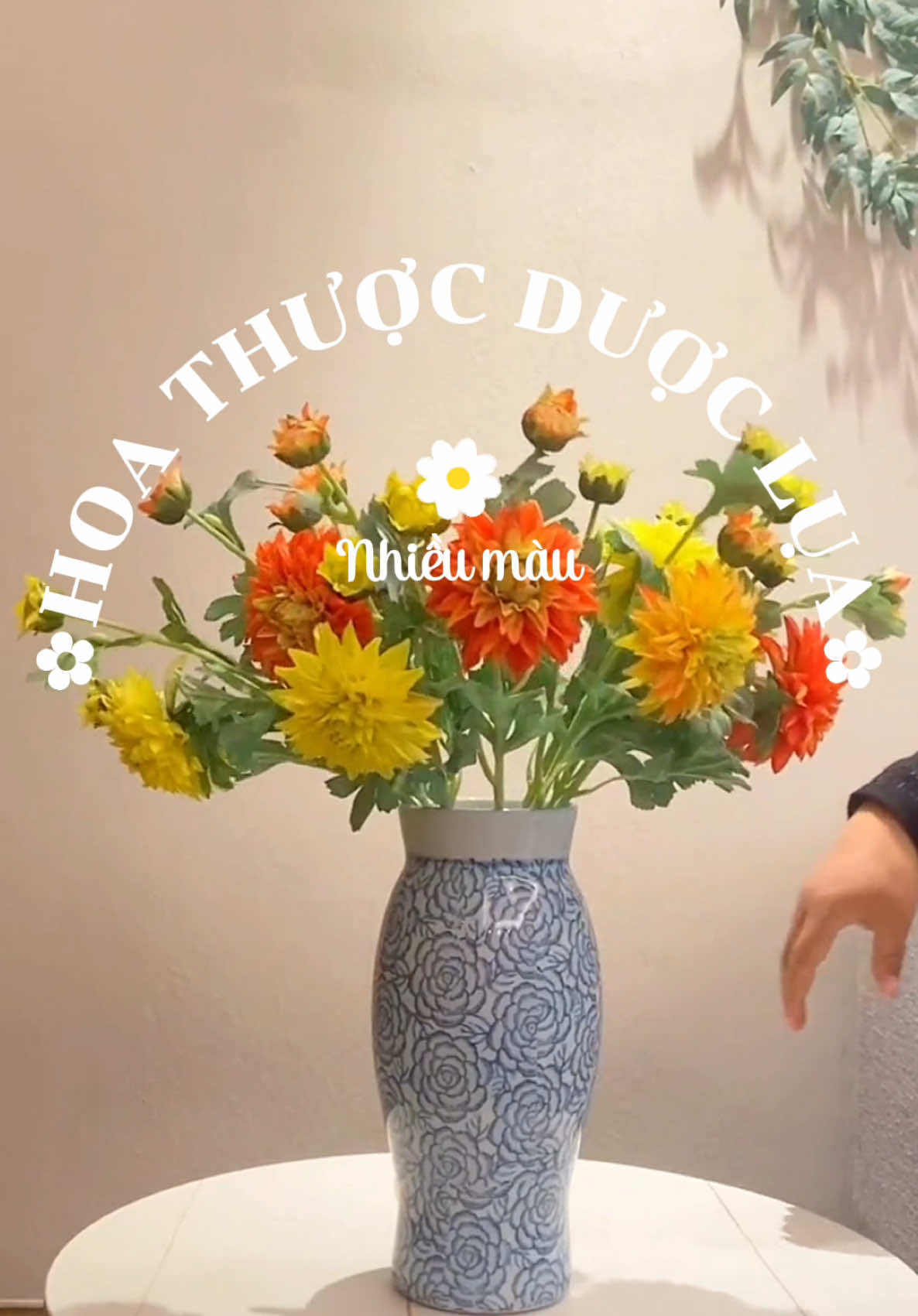 Có loài hoa không nở rộ dưới ánh nắng, chỉ lặng lẽ bung cánh khi trái tim ai đó cần được xoa dịu #hoathuocduoc #hoathuocduockemnhung #hoathuocduoclua #hoaluacaocap #hoaluatrangtri #hoagiadep #hoagiadecor #hoaluanhapkhauloai1 #hoaluatrangtriphongkhach #hoagiatrangtri #hoagiadeban #hoaluadep 