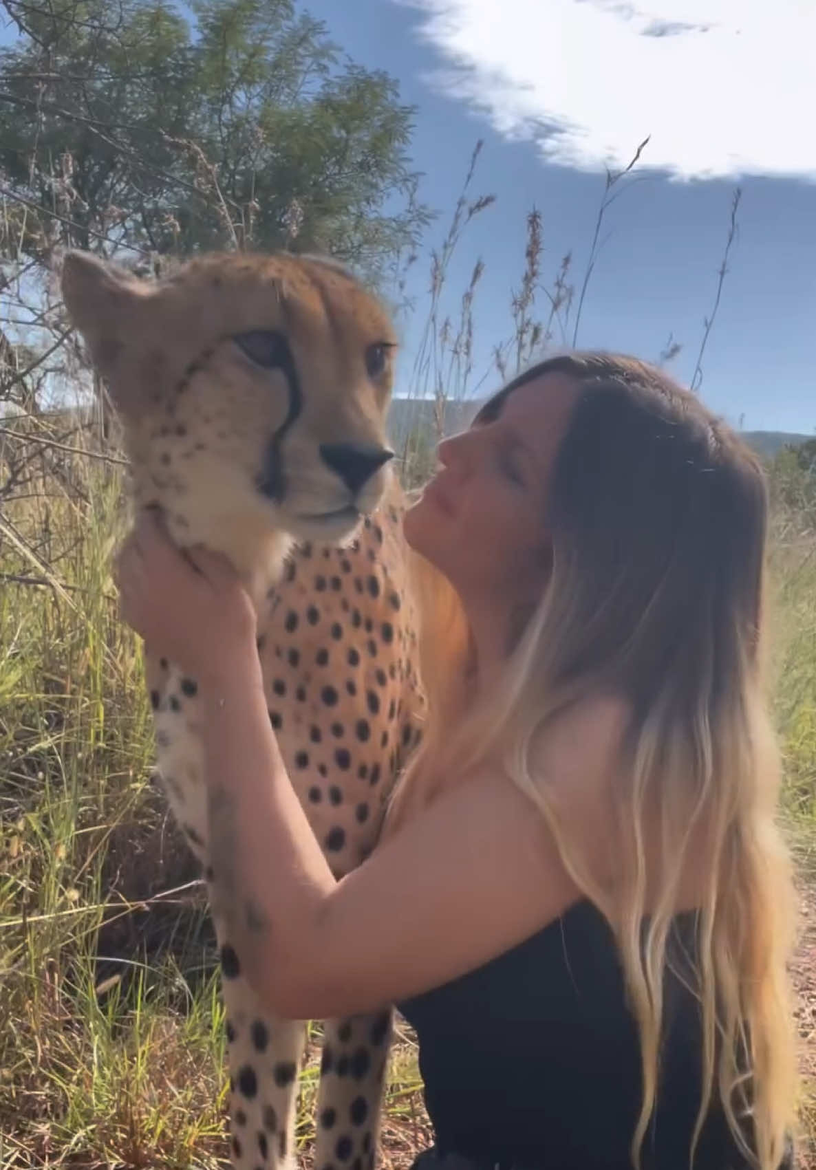 It’s a beautiful dayyy 😺😻 #cheetahs #cheetahpurr #fyp 