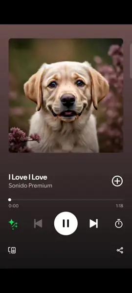 I love !! #Spotify #xuhuongtiktok #xuhuong #music #fyp #fybシ 