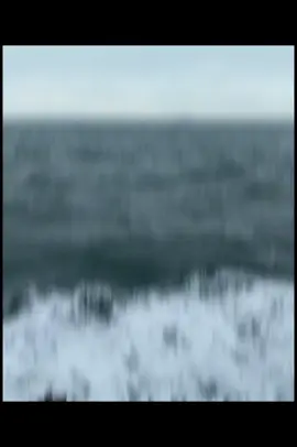 Ta dại ta tìm nơi vắng vẻ. Người khôn người đến chốn lao xao               #nhanqua #quyluatvutru 