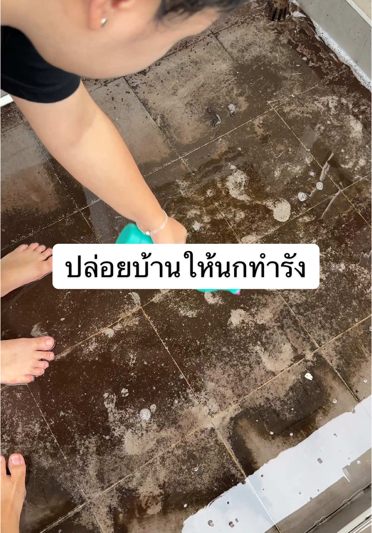 ล่าสุดคือนกมาทำรังบนบ้านแล้ว #พี่ขามน้องต้าว #น้ํายาล้างห้องน้ํา #น้ํายาล้างโถสุขภัณฑ์ 