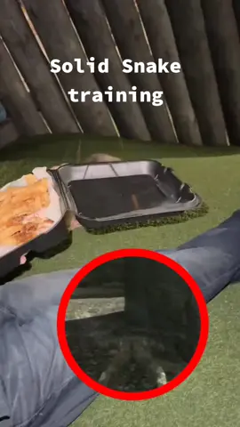 Solid Snake, real name David, also known as Old Snake, and briefly known as Iroquois Pliskin, or simply Snake, was a former spy, special operations soldier, and mercenary. Possessing an IQ of 180 and fluent in six languages,the fame he achieved from his military exploits earned him such monikers as 