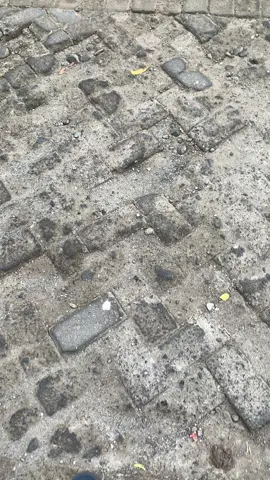 moncongku co😩😩#beatdeluxe2020 #penggunaring17 #ring17style #fyp 