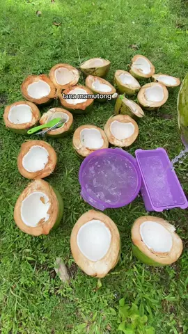 wag puro plano, tana mamutong🥥🍃💚 #fypシ #fyp #nature #bukid #fyppppppppppppppppppppppp 