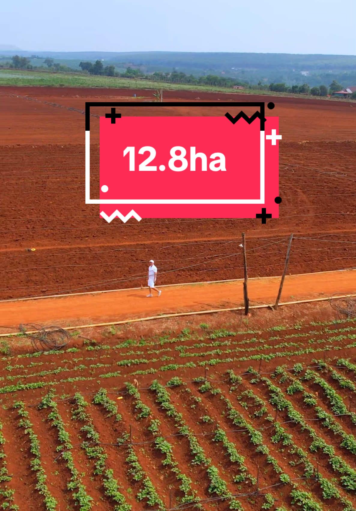 12.8ha đất đỏ Ba Zan Đường xe công quá đẹp  #bdssaurieng #bdsgialai #bdschuse #reviewbdstaynguyen #dangvanhaibds