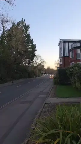 Al Quran  #quran #phalastine #fyp #islam #foryou 