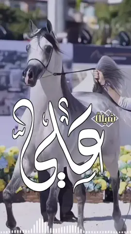 أفخم شيلة مدح باسم علي حماسيه علي رمز ل نخوه علي رمز لا الاخلاق فهد العيباني حماسيه 🔥🔥🔥2025#فهدالعيباني#حماسيه#شيلات_روعه_خواطر_ذوق السعوديه🇸🇦#الكويت🇰🇼 #قطر_الدوحة🇶🇦 #البحرين🇧🇭 #الامارات#-للطلب_الشيلات_والزفات_التواصل_معنا_وتساب_من_داخل_المملك-شيلات_زفات_تخرجات_مواليد_عقد_قرآن_مولوده_مولود شيلات الخروج من_الاندين ظظة سجن_شيلات_خروج - بسلامه - شيلات -شفاءوسلامه_شيلات_تقاعد_تخرج_ملازم_تخرج_عسكري_تخرج_من_الدفاع_المدني_الكويت_قطر_السعوديةالامارات_البحرين_الكويت_الرياض_المدينه_ابها_شيلات_حماسيه_طرررب_شيلات_عرسان_شيلات_ام_العروس_شيلات_ام_العروسه_شيلات_خطوبه_زفات_بالاسماء_ز فات_بدون اسماء - كتابة كلمات_جديدة 0545069083 966من- خارج- المملكه-0545069083 #استديو_اللمسه-الماسيه_لتنفيذ_الشيلات_والزفات والقصائدالشعريه_لجميع_المناسبات_شيلات_مهنا_العتيبي_فهد_العلي_النايف_فواز_العنزي_شيلات_بنت_ابوها_شيلة_شامخه_بنت_ابوها_الرياض_جده_مها_شيلة_شامخه_بنت_ابوها_الرياض_جده_مكه_المكرمه_ابها_قطر_البحرين_الكويت_الامارات_شيلات_سعد_محسن_شيلات_ناصر_السيحاني_شيلات_عز_السعود_شيلات_قايد_الوبيري_2024_شيلات_فلاح_المسردي_شيلات_الجف راني شيلات البندر_بن_عوير_فهد_بن_فصلا_محمد_بن_غرمان_جديد_كتابة_كلمات_جديدة_0545069083_من_خارج_المملكه0545069083_استديو_الزينه#للطلب_الشيلات_التواصل_معنا_وتساب_من_داخل_المملك_شيلات_زفات_تخرجات_موال-بسلامه-شيلات-شفاء_وسلامه_شيلات_تقاعد_تخرج_ملازم_تخرج_عسكري_تخرج_من_الدفاع_المدني_الكويت_قطر_السعودية_الامارات_البحرين_الكويت_الرياض_المدينه_ابها_شيلات_حماسيه_طرررب_شيلات_عرسان_شيلات_ام_العروس_شيلات_ام_العروسه_شيلات_خطوبه_زفات_بالاسماء_زفات_بدون_اسماءكتابةكلمات_جديدةء_زفات_بدون_اسماء_كتابة_كلمات_0545069083من_خارج_المملك-0545069083استديو_اللمسه-الماسيه_لتنفيذ_الشيلات_والزفات_والقصائد_الشعريه_لجميع_المناسبات_شيلات_مهنا_العتيبي_فهد_العلي_النايف_فواز_العنزي_شيلات_بنت_ابوها_شيلة_شامخه_بنت_ابوها_الرياض_جده_مكه_المكرمه_ابها_قطر_البحرين_الكويت_الامارات_شيلات_سعد_محسن_شيلات_ناصرالسيحاني_شيلات_عز_السعود_شيلات_قايد_الوبيري_2024_شيلات_فلاح_المسردي_شيلات_الجفراني_شيلات_بندر_بن_عوير_فهد_بن_فصلا_محمد_بن_غرمان_جديد_كتابة_كلمات_جديدة_من-خارج_المملكه0545069083#للطلب_الشيلات_والزفات_التواصل_معنا_وتساب_من_داخل_المملكه-شيلات_زفات_تخرجات_موالید_عقد_قرآن_مولوده_مولود_شيلات_خروج_من_السجن_شيلات_خروج-بسلامه_شيلات-شفاء_وسلامه_شيلات_تقاعد_تخرج_ملازم_تخرج_عسكري_تخرج_من_الدفاع_المدني_الكويت_قطر_السعودية_الامارات_البحرين_الكويت_الرياض_المدينه_ابها_شيلات_حماسيه_طرررب_ شيلات_عرسان_شيلات_ام_العروس_شيلا ت_ام_العروسه_شيلات_خطوبه_زفات_بالاسما ء_زفات_بدون_اسماء -خارج_المملكه- ع_المناسبات_شيلات_مهنا_العتيبي_فهاد_ العلي_النايف_فواز_العنزي_شيلات_بنت_ابوها_شيلة_شامخه_بنت_ابوها_الرياض_جده_مكه_المكرمه_ابها_قطر_البحرين_الكويت_الامارات_شيلات_سعد_محسن_شيلات_ناصر_السيحاني_شيلات_عز_السعود_شيلات_قايد_الوبيري_2024_ شيلات_فلاح_المسردي_شيلات_الجفراني_شيلات بندر بن عوير_فهد_بن_فصلا_محمد_بن_غرمان_جديد_كتابة_كلمات_جديد
