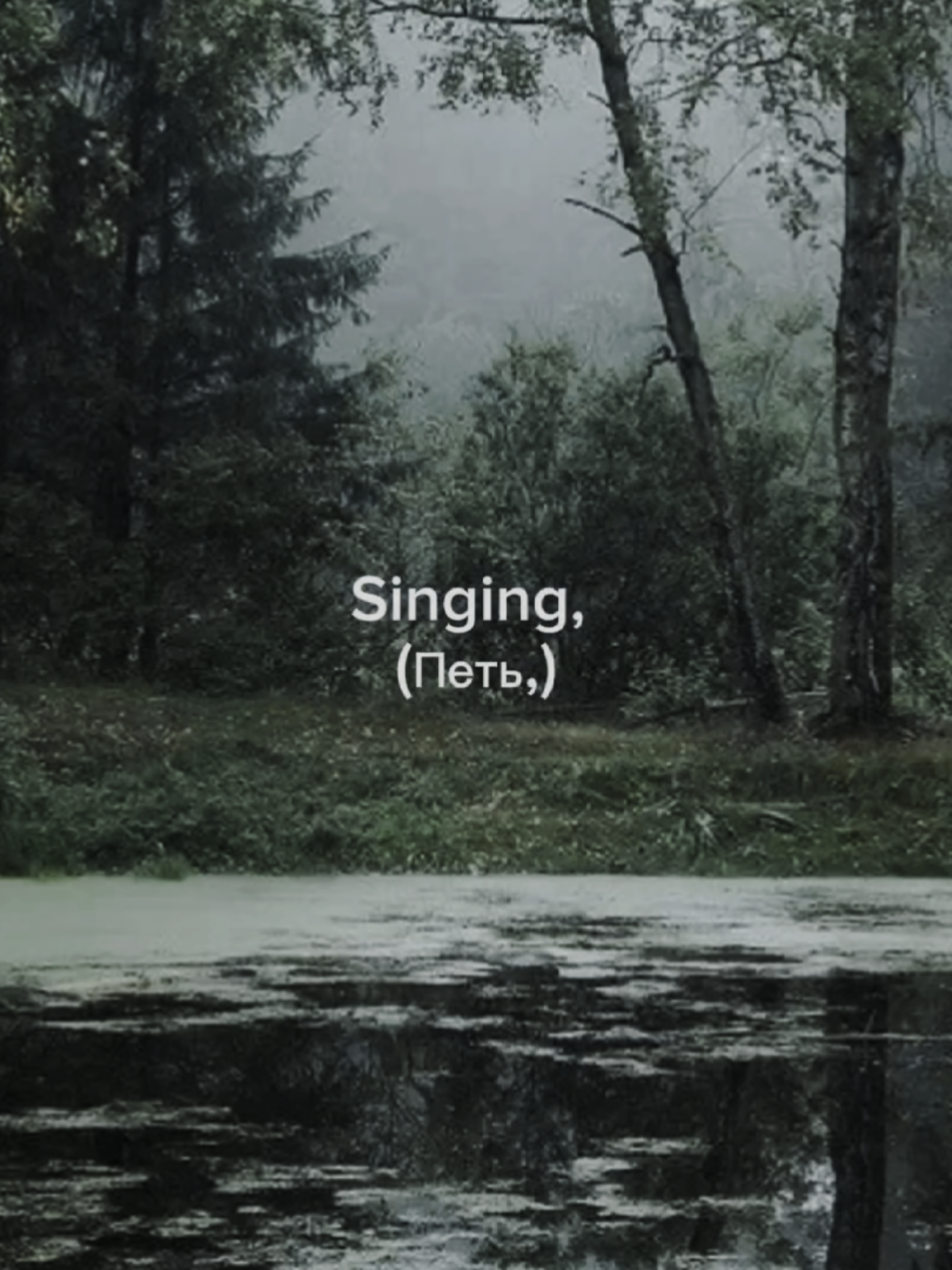 Swimming pool - Marie Madeleine #songs #song #lyrics #lyric #текстпесни #текст #песни #песня #swimmingpool #mariemadeleine 