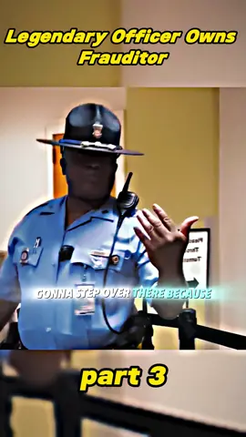 #fyp #copsoftiktok #foryou #audit 