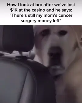 #casino #gambling #broke #meme #funny #viral #fyp  