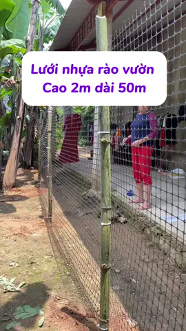 Lưới nhựa cao 2m dài 50m làm chuồng gà, làm hàng rào #luoiraoga #luoiraovuon #luoinhuadeo #luoinhuanguyensinh #trangtrai #channuoi 