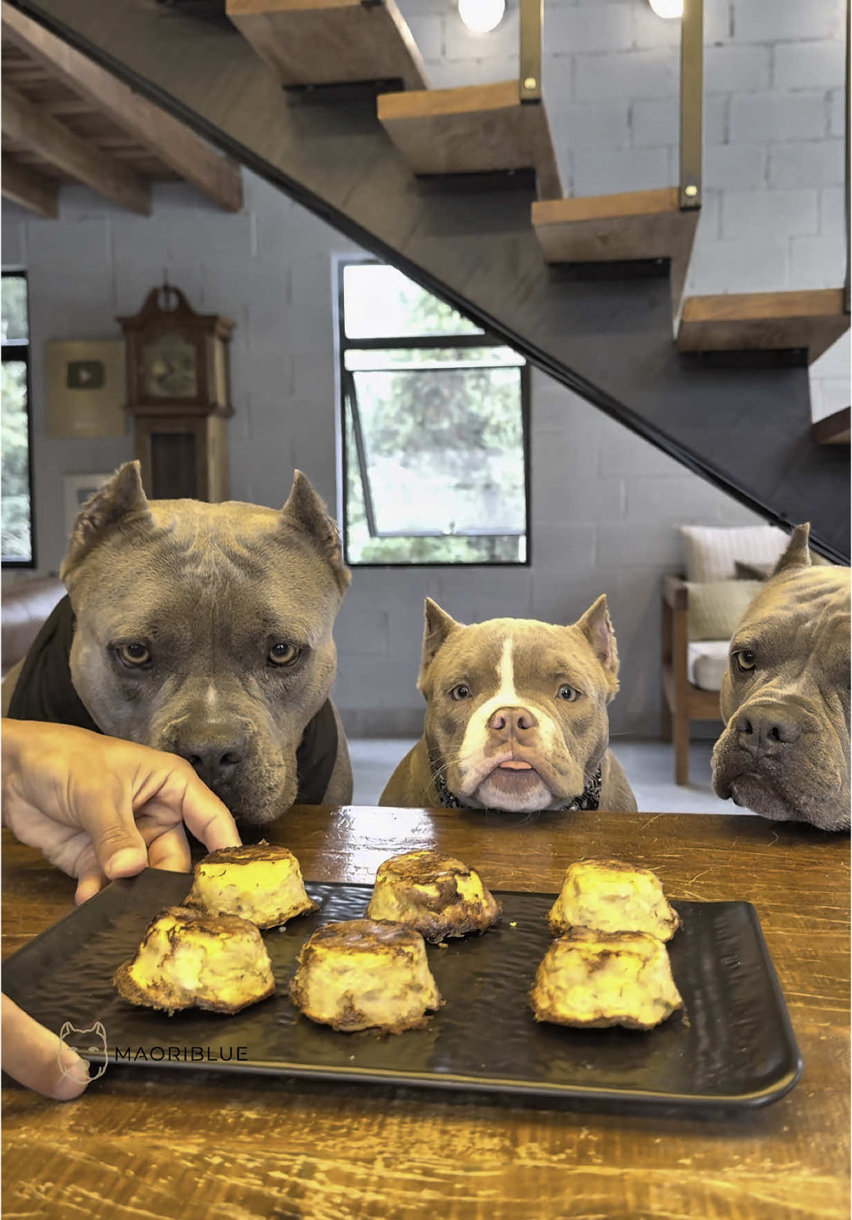 Bolo de Frango com Batata 🐾