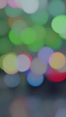 කොල්ලො ආසම ඒව 🥺💗 #ඇඹිලිපිටියේ_අපි #mr_sp #trader #viral #foryou #fyp #trending #bmws1000rr #hornet 