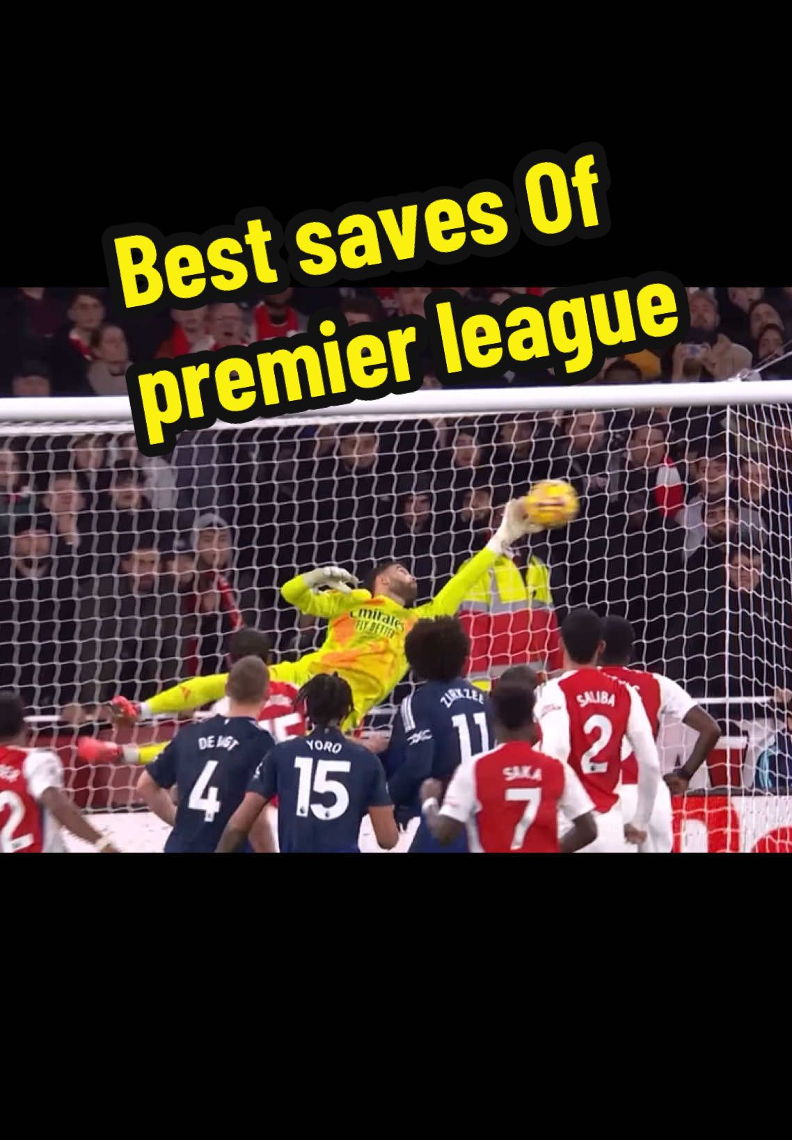 🧤Best saves Of premier league 2024-2025 #bestsaves #goalkeeper #PremierLeague 