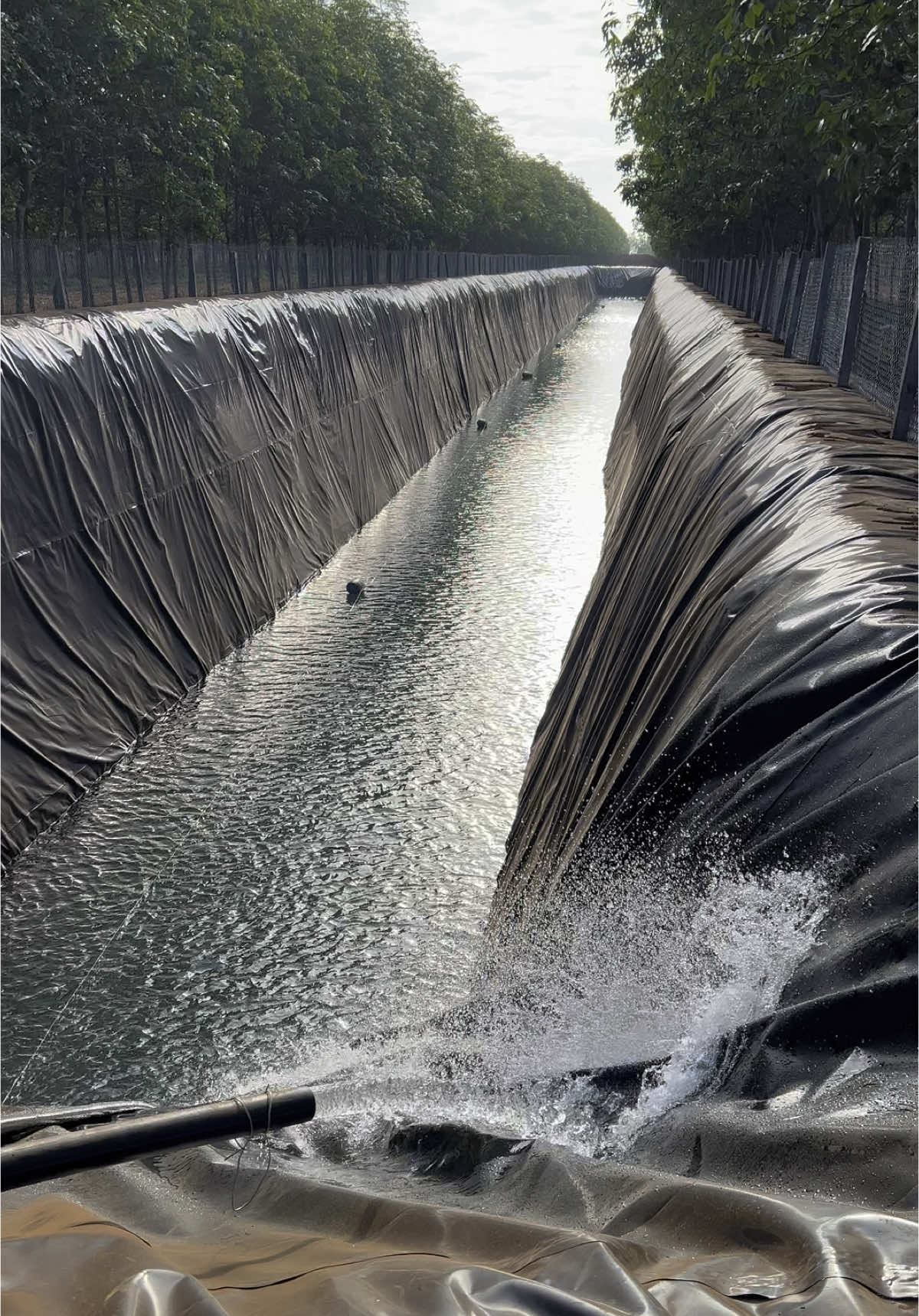 Xả liên tục gần 2 tuần rồi mới dc hơn 3 mét nước bao giờ mới đầy đây bà con #batlothohdpedaklak #fyb #sauriengdaklak #tâynguyên #47 #nôngnghiệp #xh #farmtaynguyen #viewdep #xuhuong2025 