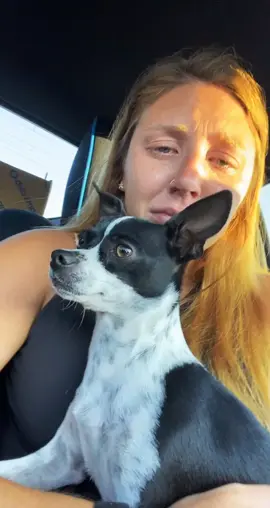 Ok but have ya’ll seen a dog actually cry when you cry? (ig: hannahbellewittman)