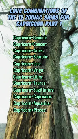 #astrology #foryou #zodiacs #capricorn 