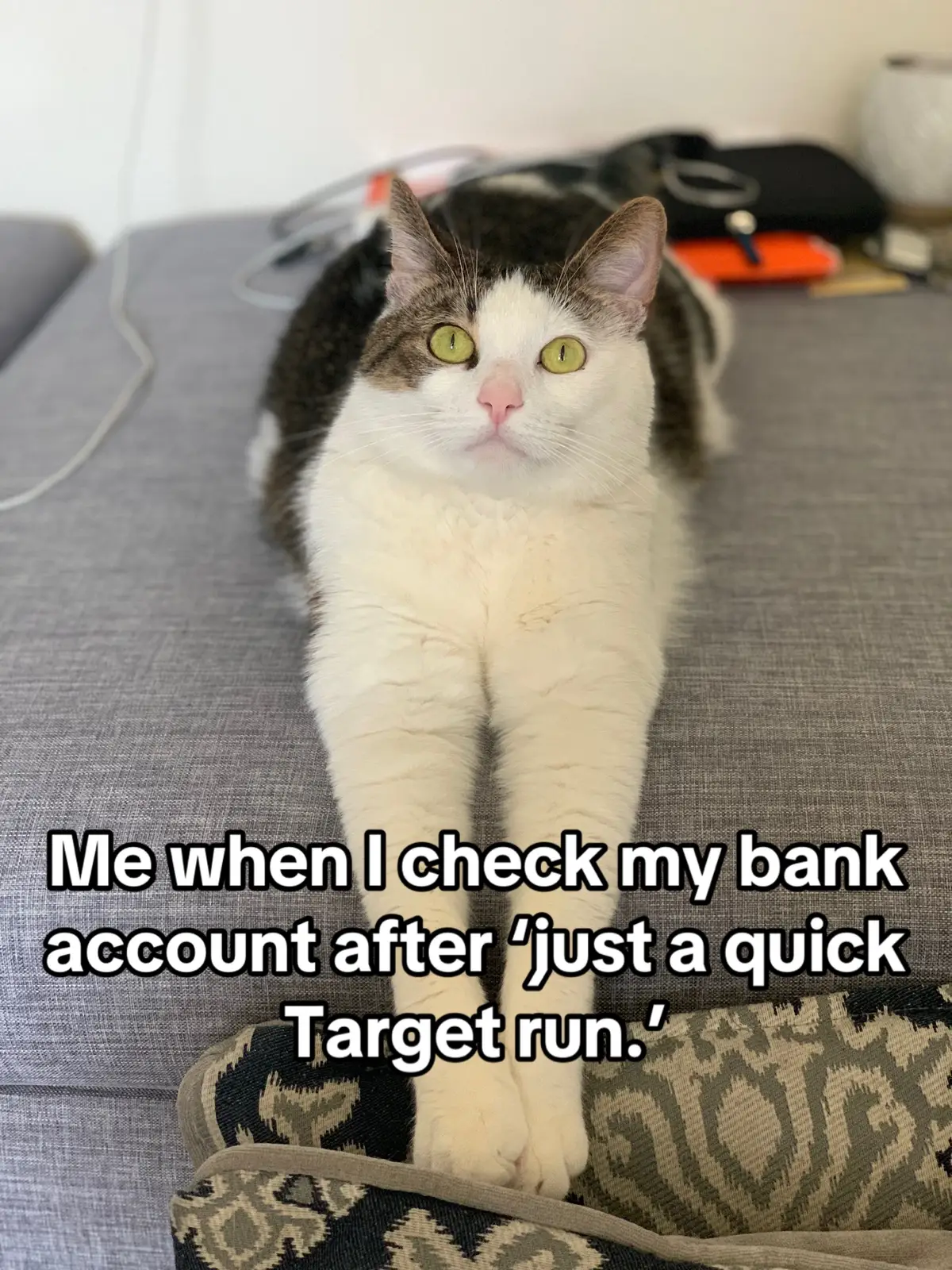 #TargetRunGoneWrong #RelatableCat #ImpulseBuyQueen #RetailTherapyFail #CatMemeLife #FelineRegret #SassyCatVibes #MeowMoneyGone #ShockedCatEnergy #CatTok #FYP #TargetAddict #OopsIDidItAgain #WhiskerWalletWoes #hertzthecat #catsoftiktok 
