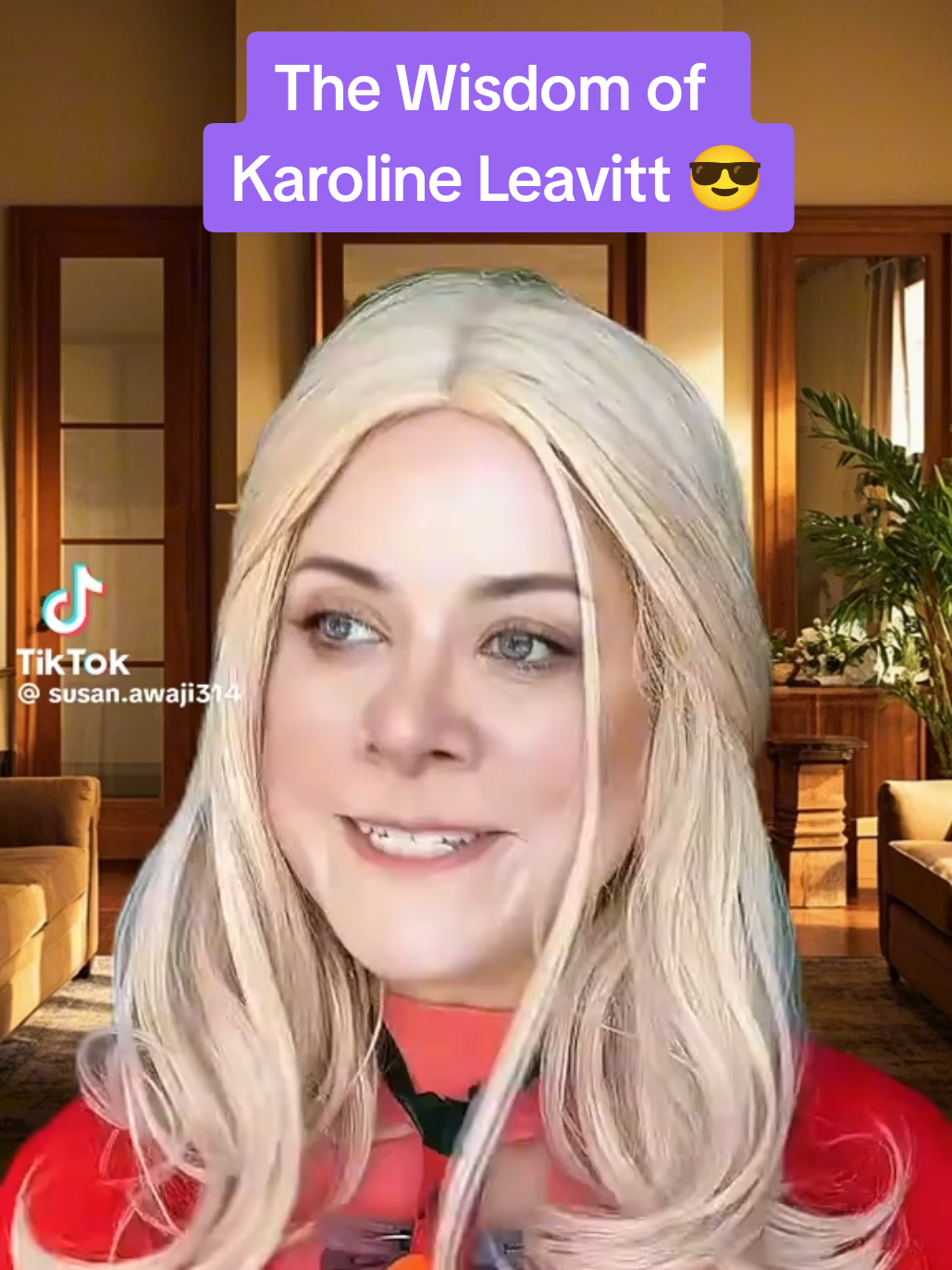 Some humor from this fabulous piece of work 🤣 #karolineleavitt #leavitt #press #presser #funny #fun #parody #politics #shorts #tiktok ##sensibledemocratsmedia 