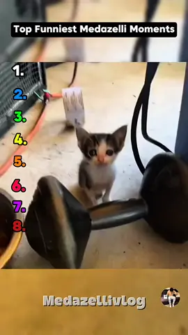 Funniest Medazelli Moments @medazelli #medazelli