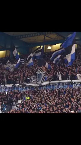 Folgt für mehr Fankurven⚽️🏟️ #arminiabielefeld #bielefeld #ultras #fankurven #fans #fussball #fangesang #foryou #foryoupage #viral #trend 