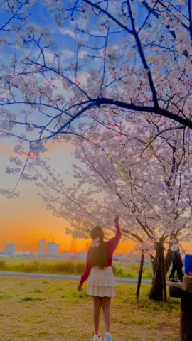 𝐿𝑜𝓈𝓉 𝒾𝓃 𝓉𝒽𝑒 𝓅𝒾𝓃𝓀 𝒽𝒶𝓏𝑒 𝑜𝒻 𝓈𝒶𝓀𝓊𝓇𝒶 🌸🌿🧚‍♀️ . . . When I hear this song with the real sound of nature #peace#japan#springvibes #peace #Love 🫶🏻