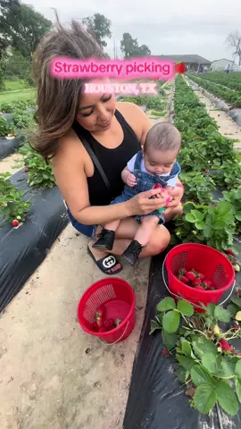 Address at the end of video🥰 #farm #strawberry #houston #dateideas 