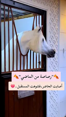 #عبارات #خواطر #fypシ゚ #explore 