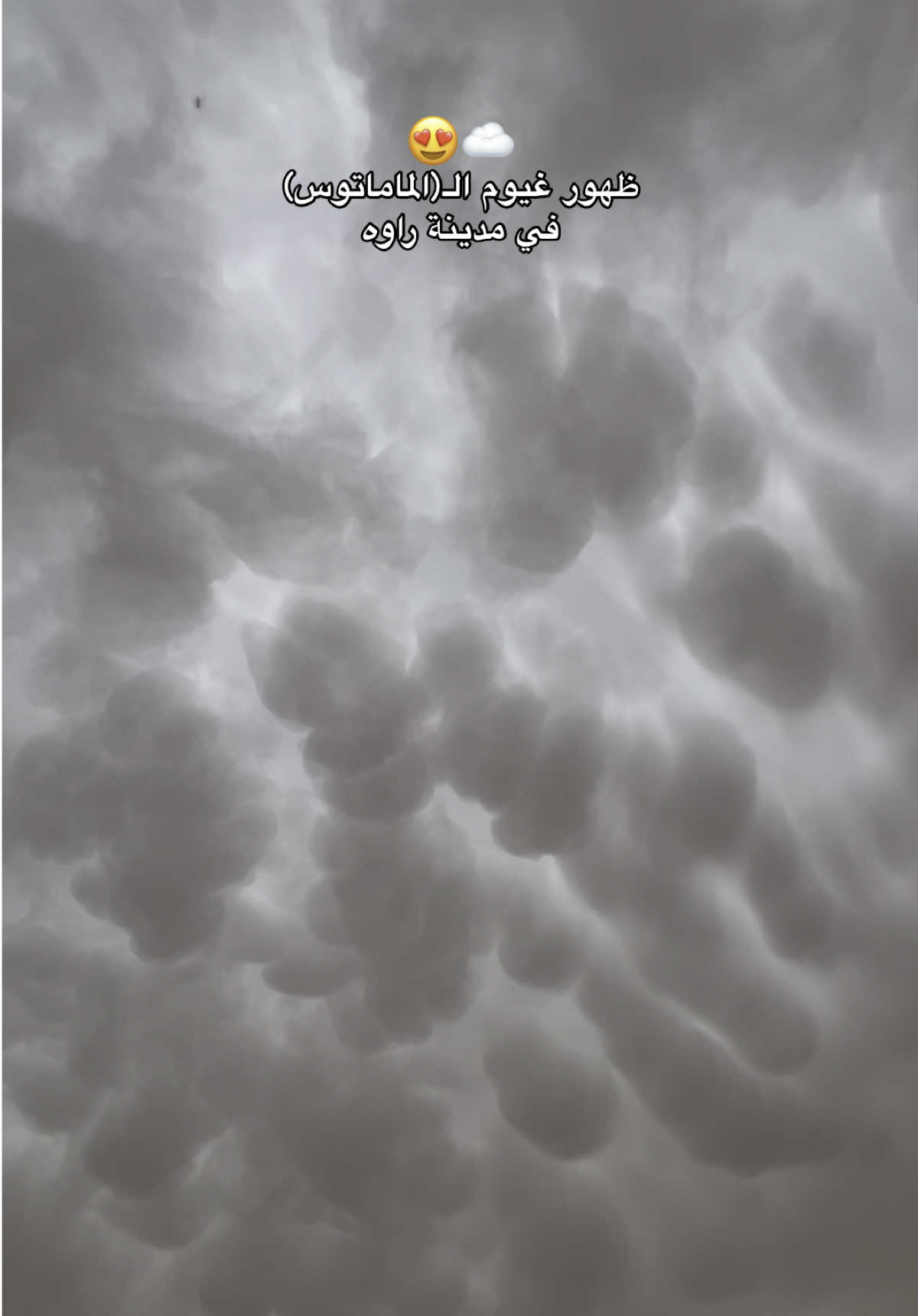 هاذا خلق الله 🤍☁️ #نعمه_الراوي #تصوير #غيوم #الماماتوس #راوه #عنه #القائم #سنمائي #قرأن #مشاهير_تيك_توك_مشاهير_العرب #ixplore #like #follow #ixplore 