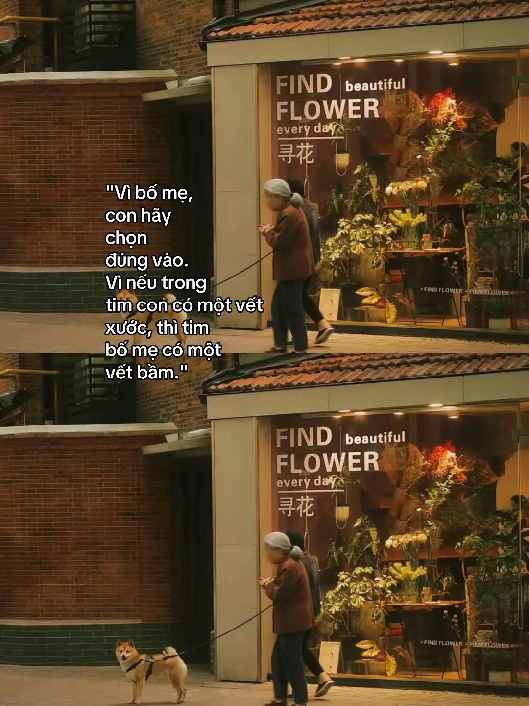 #chualanh #foryou #t #xuhuong2025 