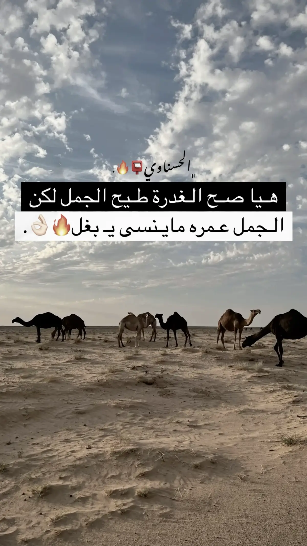 #تصميم_فيديوهات🎶🎤🎬 #تصميمي #اقتباسات #اكسبلور_explore #ليبيا #libya🇱🇾 #explore #fyp #fouryou 