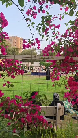 أجواء اليوم في مزار السيده مريم بنت الأمام جعفر الصادق ع 