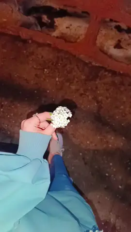 #مجرد________ذووووووق🎶🎵💞 #ستوريات_شامو_ماغيرها #مرعش🥀 #slowsuave #foryoupage #Biscoitocut #foryoupage #ตามจังหวะ 