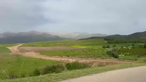 #هلبجه #سليماني 