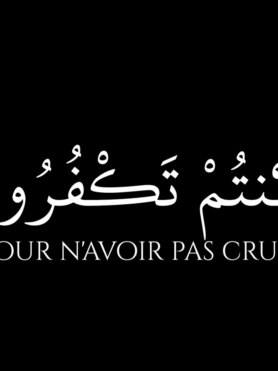 Recitateur Umar Sidilinsky  Surat al anam 26-30 #coran #recitation #umar #sidilinsky #surat #anam #fyp #quran_alkarim 