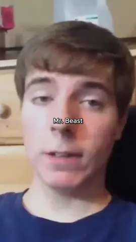 Mr. Beast publicó 455 videos(1)