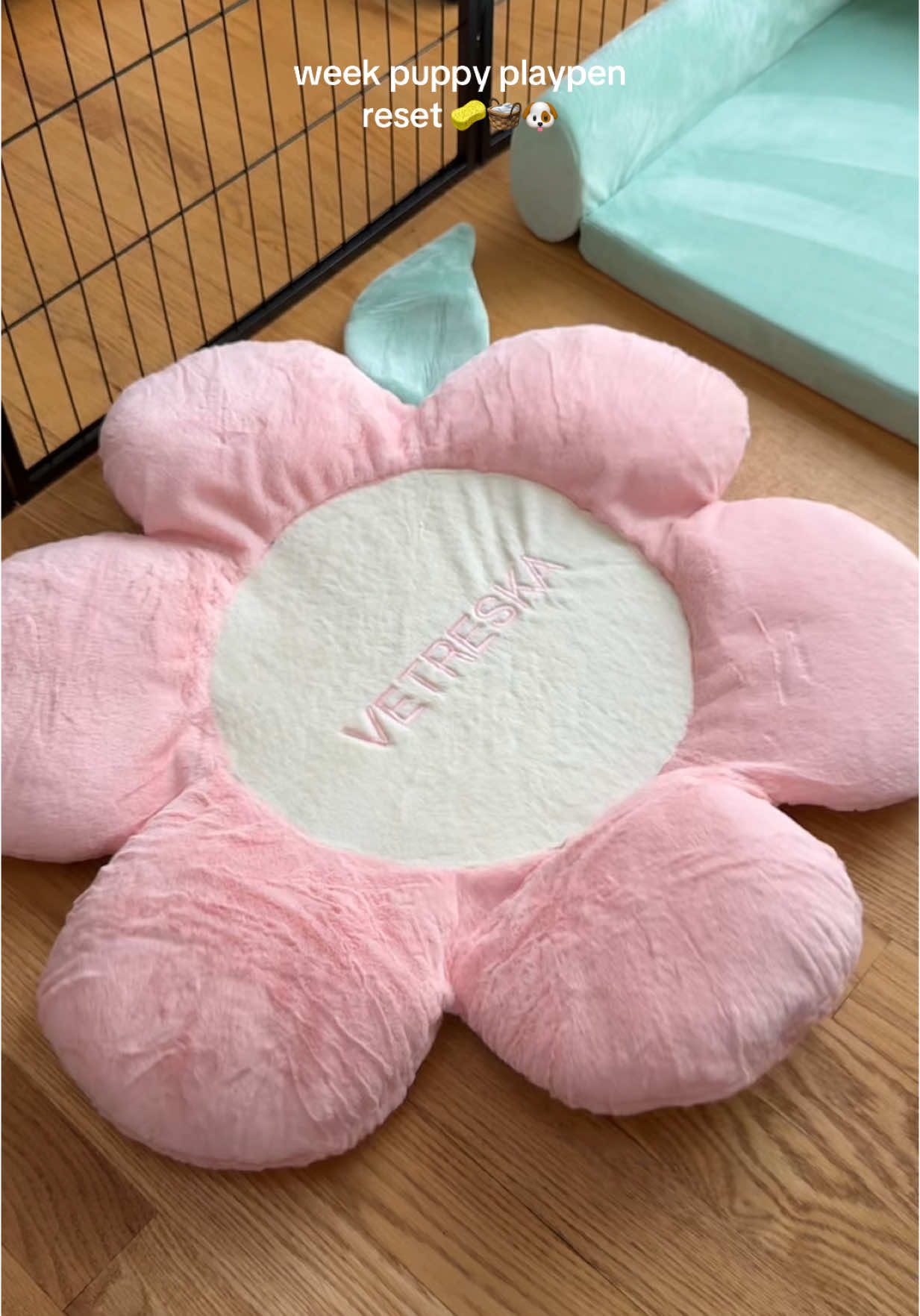 weekly puppy playpen reset 🐶 #puppy #puppydog #puppytiktok #dog #playpen #dogoftheday #dogowner #doglover #poodle #teacuppuppies #fyp #fyppppppppppppppppppppppp 
