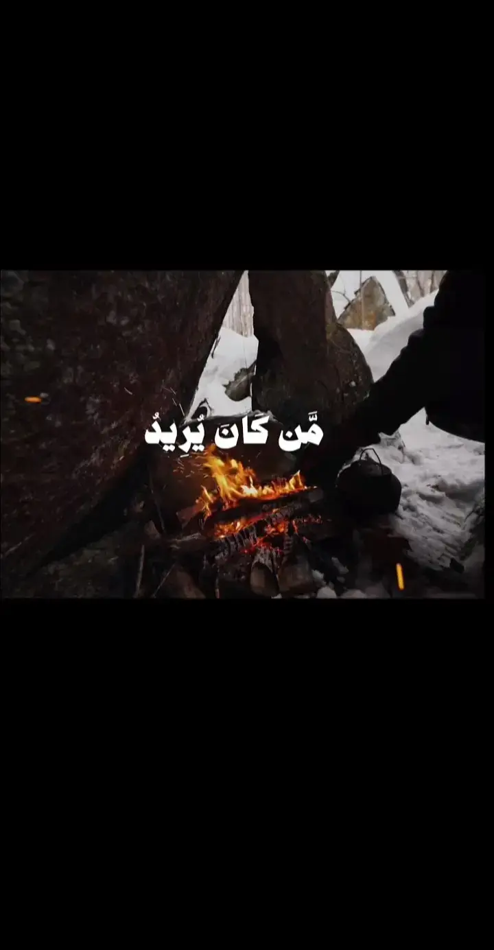 #القران_الكريم 