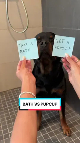 GETTING HIM A PUPCUP IMMEDIATELY 😭 #rottweiler #bath 