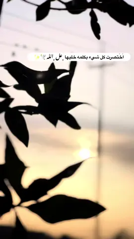 #جزء 56 |#قناتي_تليجرام_بالبايو💕🦋 #تصويري_احترافي_الاجواء👌🏻🕊😴 #عباراتكم_الفخمه📿📌 #لايك_متابعه_اكسبلور_لو_عجبكم 